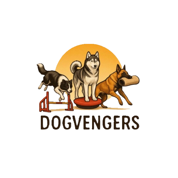 Dogvengers® addestramento