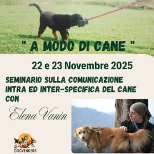 📌 Comunicazione intra e inter-specifica del cane 📅 22 e 23 Novembre 2025 🕤 dalle 9:00 alle 18:00 📍Dogvengers Addestramento,Viale Guglielmo Marconi 41 (Po) 🍴 Pranzo offerto 👉 Consulenze e incontri individuali con Elena Vanin 👉 Due giornate dedicate all’osservazione, all’ascolto e al confronto diretto per approfondire tematiche legate alla comunicazione e alla relazione con il cane. 👉 Influenza delle emozioni sulla comunicazione 👉 Modalità predatorie nella comunicazione 👉 Comportamenti predatori nella comunicazione e nella regolazione emotiva" ‼️ Max 6 binomi - Uditori illimitati 📞 Informazioni e prenotazioni: Giulia 3761156599 - Carlotta 3515811522 #elenavanin #dogvengers #comunicazionecanina #educazionecinofila #eventicinofili #cani #consulenzecinofile #emozioni #dogs #relazionecaneumano #novembre2025