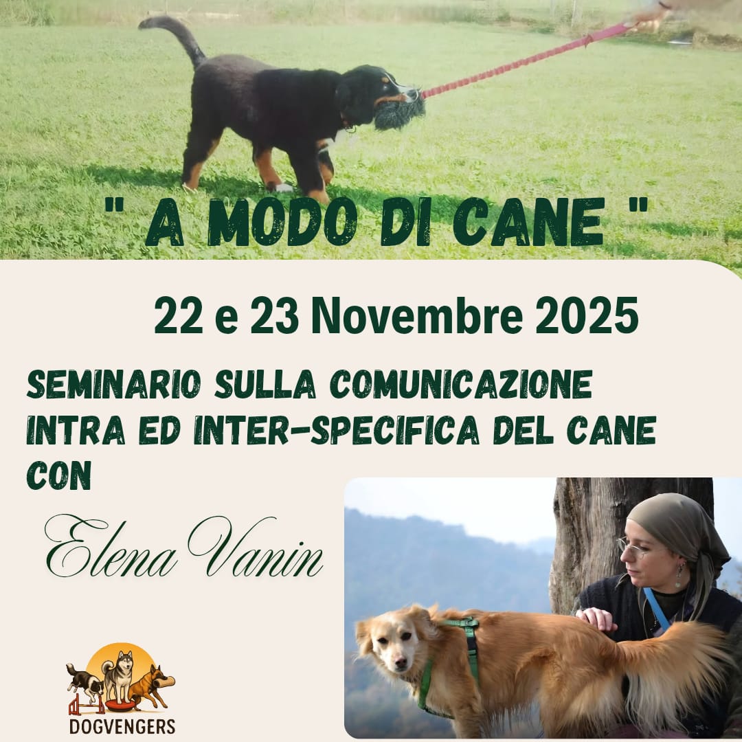 📌 Comunicazione intra e inter-specifica del cane 📅 22 e 23 Novembre 2025 🕤 dalle 9:00 alle 18:00 📍Dogvengers Addestramento,Viale Guglielmo Marconi 41 (Po) 🍴 Pranzo offerto 👉 Consulenze e incontri individuali con Elena Vanin 👉 Due giornate dedicate all’osservazione, all’ascolto e al confronto diretto per approfondire tematiche legate alla comunicazione e alla relazione con il cane. 👉 Influenza delle emozioni sulla comunicazione 👉 Modalità predatorie nella comunicazione 👉 Comportamenti predatori nella comunicazione e nella regolazione emotiva" ‼️ Max 6 binomi - Uditori illimitati 📞 Informazioni e prenotazioni: Giulia 3761156599 - Carlotta 3515811522 #elenavanin #dogvengers #comunicazionecanina #educazionecinofila #eventicinofili #cani #consulenzecinofile #emozioni #dogs #relazionecaneumano #novembre2025