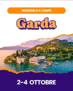 ✨🐾 Weekend Esclusivo Dog Experience – 2/4 Ottobre sul Lago di Garda 🐾✨

Immagina tre giorni in cui tutto è pensato per te e il tuo cane.
Niente caos, niente improvvisazione. Solo esperienze curate, natura e connessione autentica.

Ti accogliamo in una location selezionata come il @Camping San Francesco dove comfort, spazi e servizi si uniscono per offrirti un soggiorno senza compromessi, in collaborazione con @FidoGang.

🔹 Un programma strutturato e guidato
Ogni attività è progettata per farti vivere il tuo cane in modo più consapevole e appagante:
– Escursioni studiate per il benessere di cane e proprietario
– Sessioni di fitness per umani, per ritrovare energia e equilibrio
– Attività di agility e lavoro cinofilo, seguite da professionisti
– Momenti pratici e formativi per migliorare la relazione

🔹 Un’esperienza per pochi
Numero limitato di partecipanti per garantire qualità, attenzione e supporto reale durante tutto il weekend.

🔹 Valore reale, non solo divertimento
Non tornerai a casa solo con belle foto, ma con strumenti concreti per vivere meglio il tuo cane ogni giorno.

📅 2 – 4 Ottobre
📍 Lago di Garda
🎟️ Posti limitati – prenotazione obbligatoria

💬 Se stai cercando qualcosa di più di un semplice weekend…
questo è il momento di fare un salto di livello nel rapporto con il tuo cane.

👉 Scrivici o prenota ora il tuo posto https://www.fidogang.com/prodotto/trip/weekend-dog-friendly-sul-lago-di-garda-avventura-e-relax 👈

💲 In promozione fino al 15 Luglio 2026